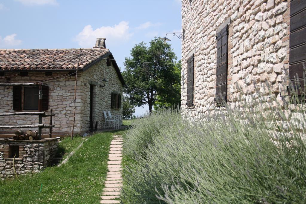 Agriturismo Valdifiori Sassoferrato Ngoại thất bức ảnh